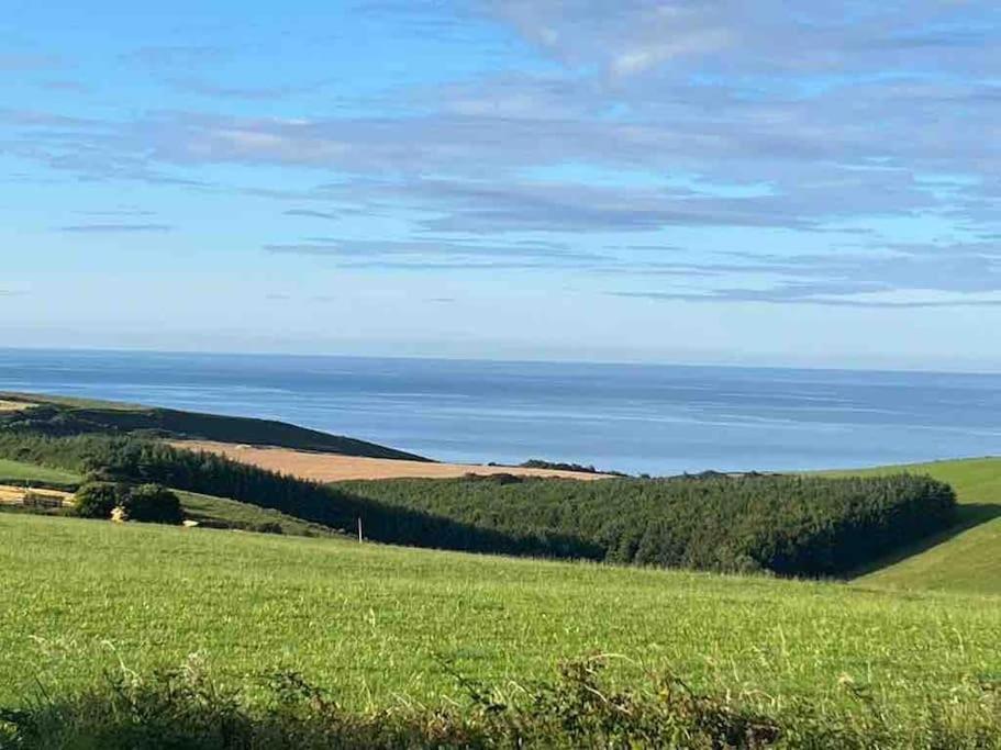 The Bird House - Coastal Lodge In Lovely Forest Setting Nr. Kinsale コーク エクステリア 写真