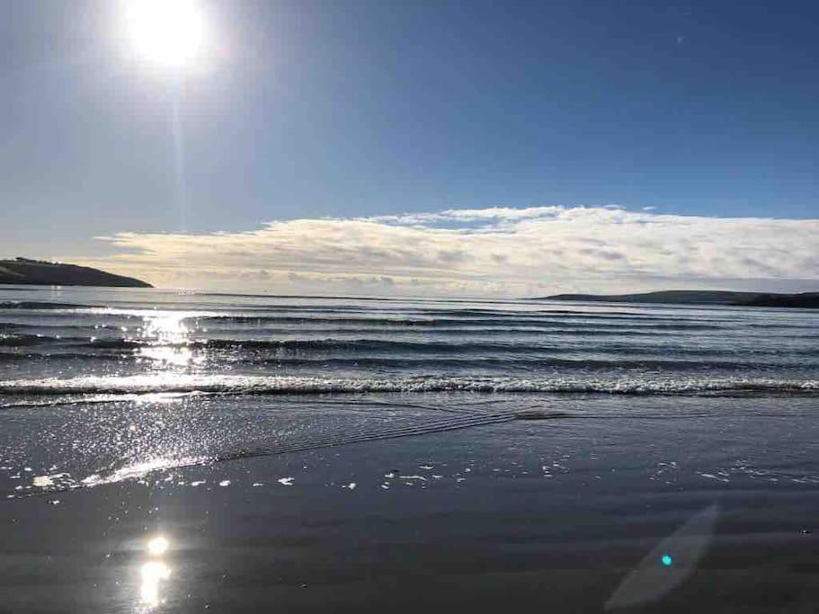 The Bird House - Coastal Lodge In Lovely Forest Setting Nr. Kinsale コーク エクステリア 写真