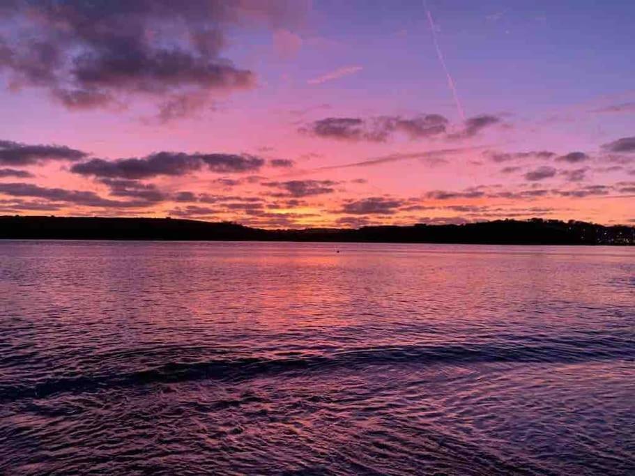 The Bird House - Coastal Lodge In Lovely Forest Setting Nr. Kinsale コーク エクステリア 写真