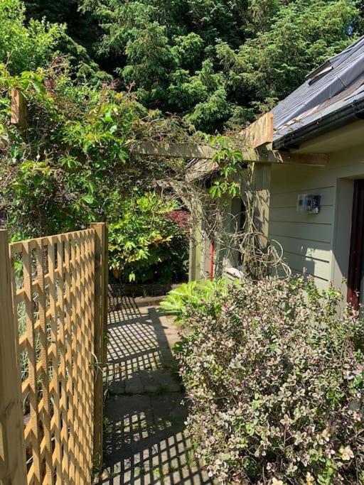 The Bird House - Coastal Lodge In Lovely Forest Setting Nr. Kinsale コーク エクステリア 写真
